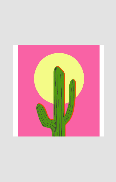 Pink Cactus